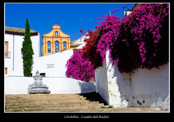 Centro Historico-la Preferida Cristo De Faroles-bailio Córdoba